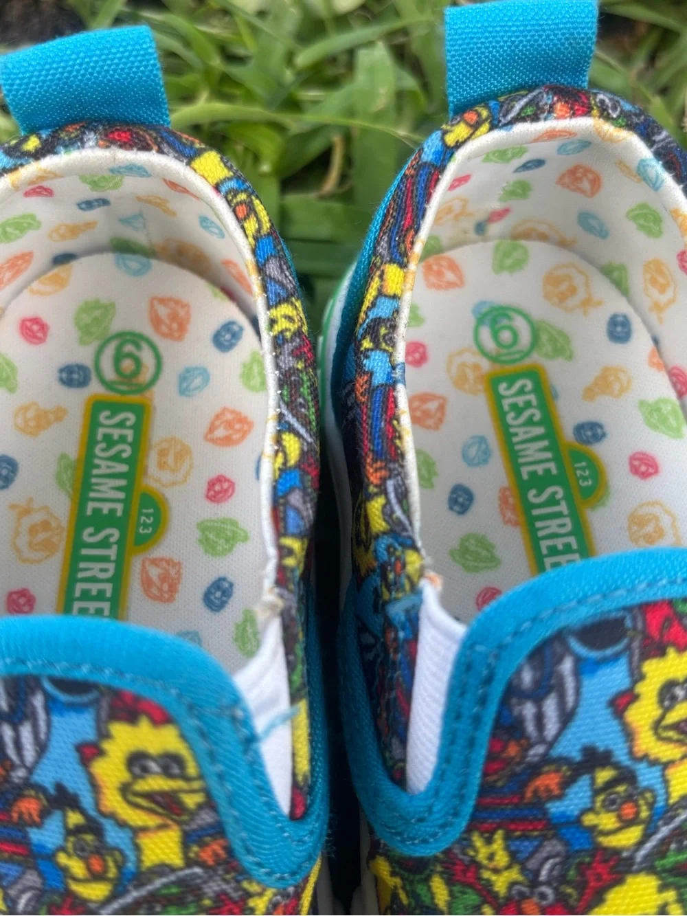 Kids Slip-On Canvas Shoes with Colorful Character Print - Blue Trim Sesame  6